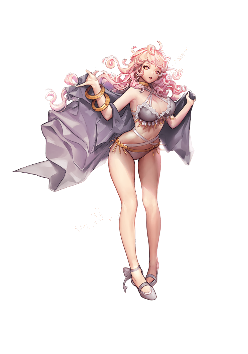 カルリス入手時